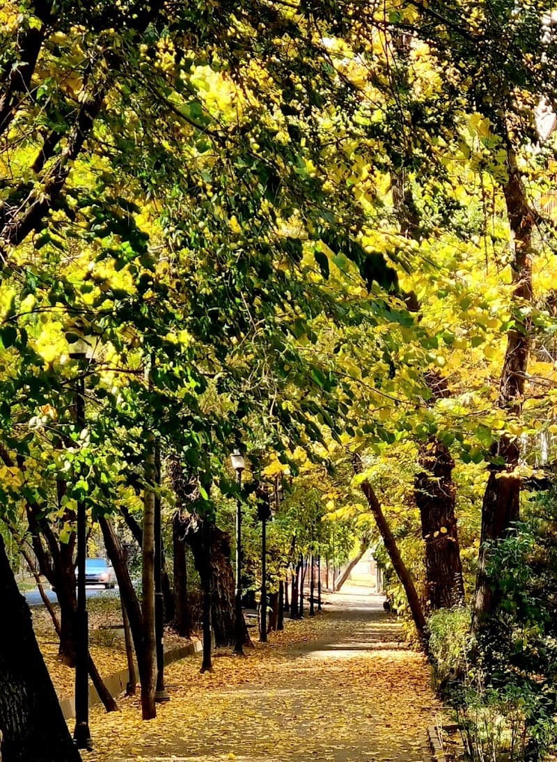 Zhambyl Mukhambetzhanov Almaty photo