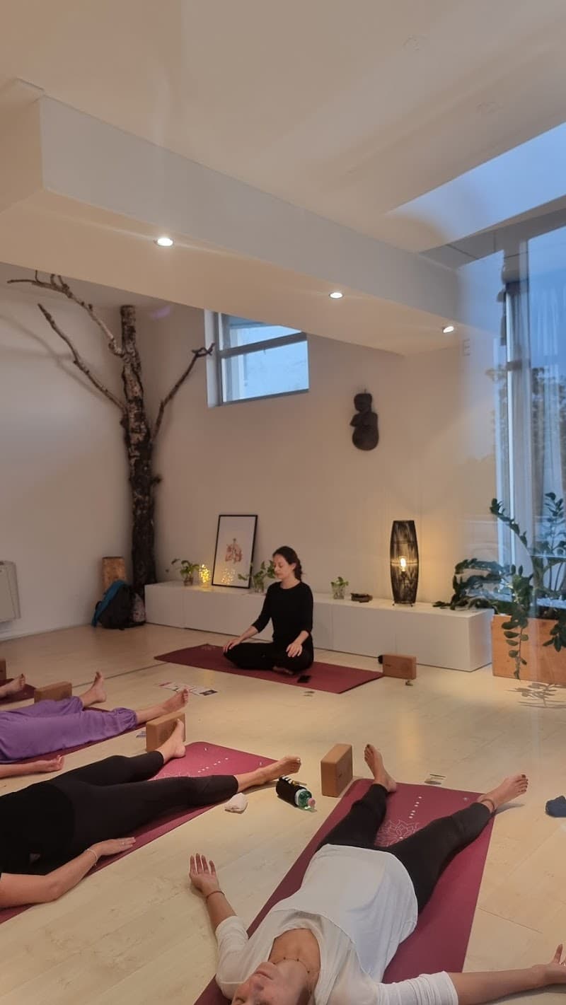 Zhi - Natural Wellbeing Seriate photo