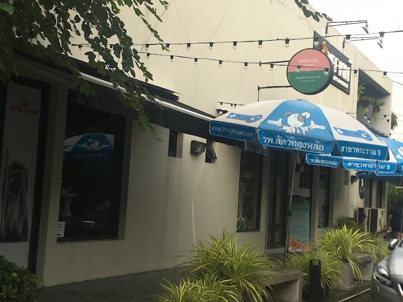 Zhule Ting - Bamboo Spa & Beauty Steam Therapy Wellness Specialty Store Hong Kong photo