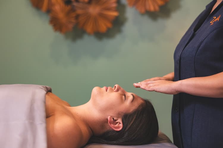 ZoiA Spa Palm Beach photo