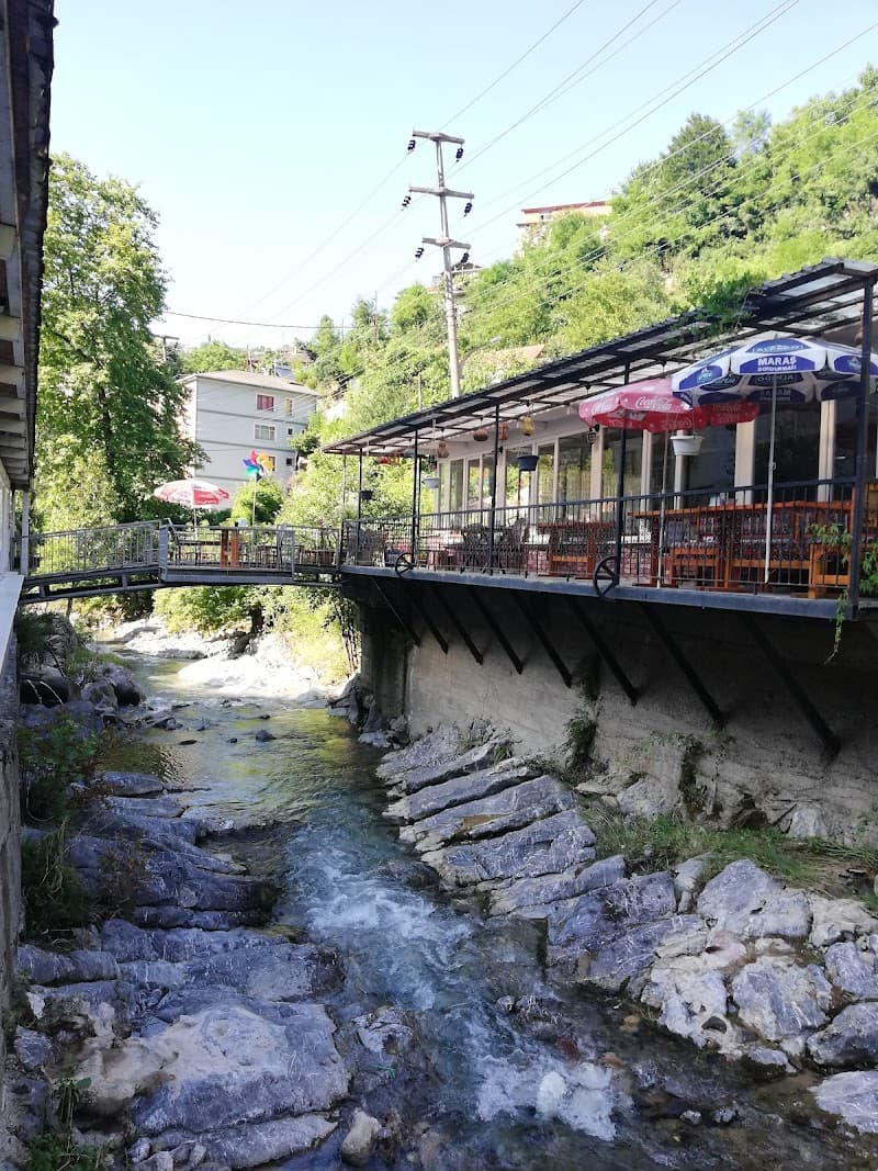 Zonguldak Şifalı Su Kaplıcaları photo