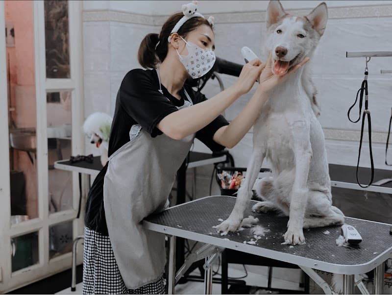 ZuMy Pet Spa Huyện Hóc Môn photo